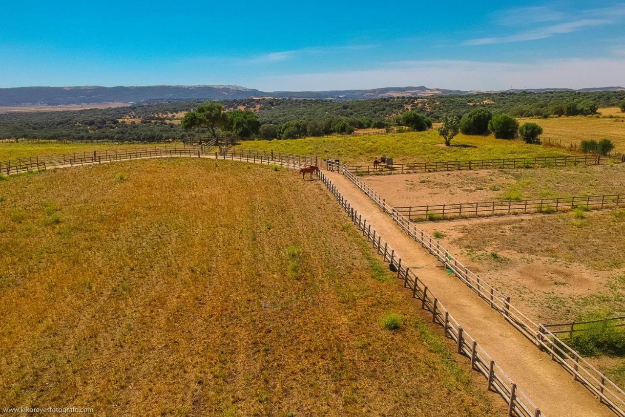 Maison d'hôtes Cortijo El Indiviso à Vejer de la Frontera Extérieur photo